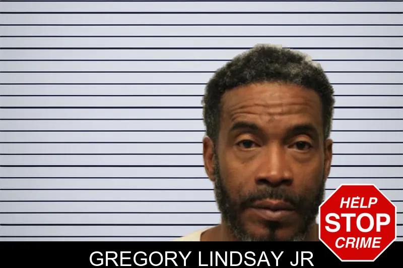 Gregory Lindsay Jr mugshot – Chatham County , Georgia Gregory Lindsay Jr mugshot