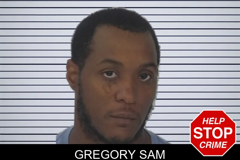 Gregory Sam mugshot – Fayette County , Georgia Gregory Sam mugshot