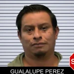 Gualalupe Perez mugshot