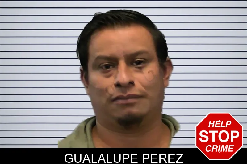 Gualalupe Perez mugshot