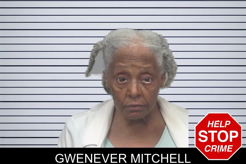 Gwenever Mitchell mugshot
