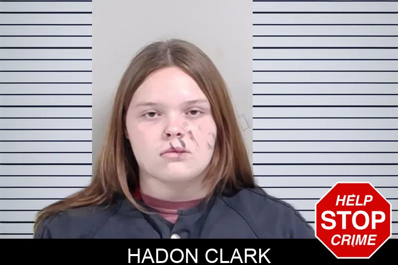 Hadon Clark mugshot – Lowndes County , Georgia Hadon Clark mugshot