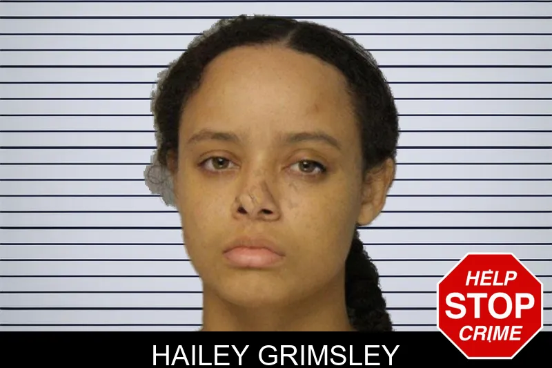 Hailey Grimsley mugshot – Hall County , Georgia Hailey Grimsley mugshot