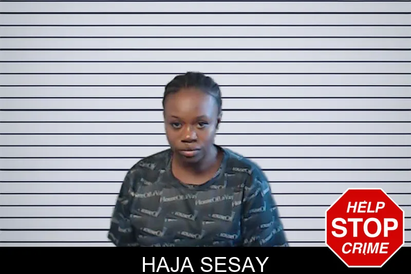 Haja Sesay mugshot – DeKalb County , Georgia Haja Sesay mugshot
