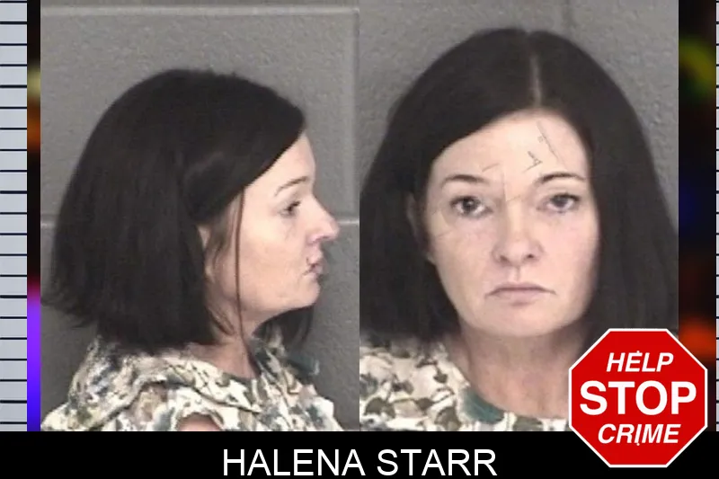 Halena Starr mugshot – Barrow County , Georgia Halena Starr mugshot
