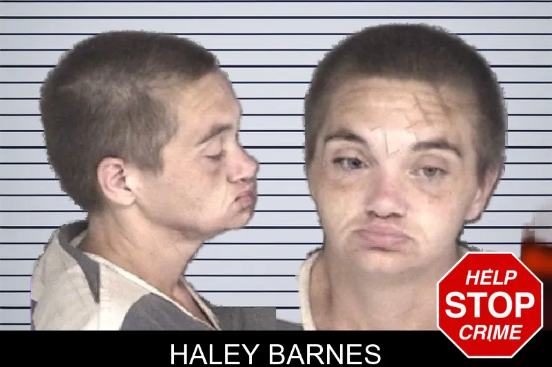 Haley Barnes mugshot – Barrow County , Georgia Haley Barnes mugshot