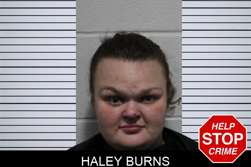 Haley Burns mugshot – Habersham County , Georgia Haley Burns mugshot