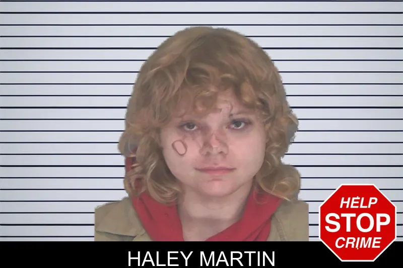 Haley Martin mugshot