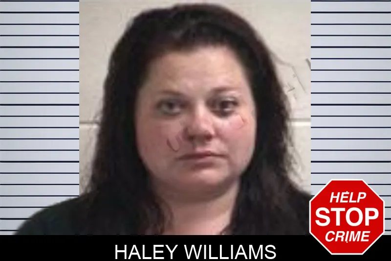 Haley Williams mugshot – Henry County , Georgia Haley Williams mugshot