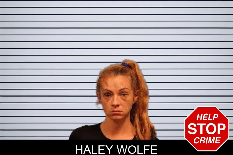 Haley Wolfe mugshot – Monroe County , Georgia Haley Wolfe mugshot