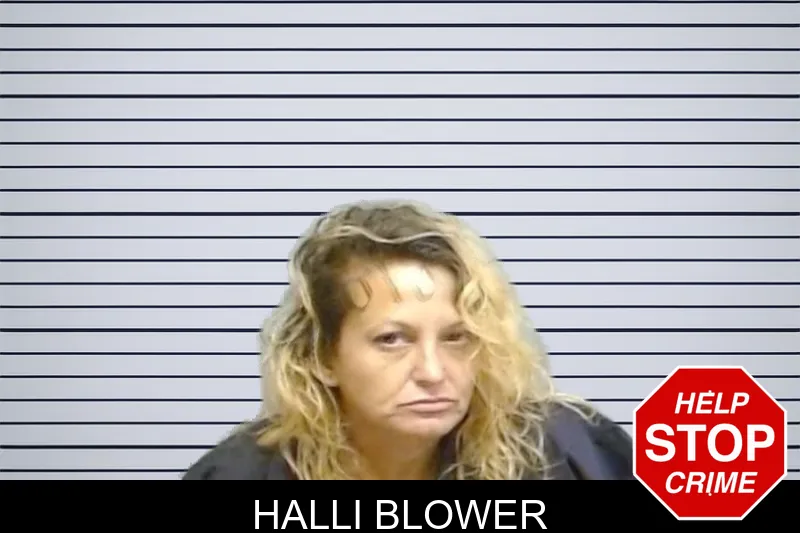 Halli Blower mugshot – Fulton County , Georgia Halli Blower mugshot
