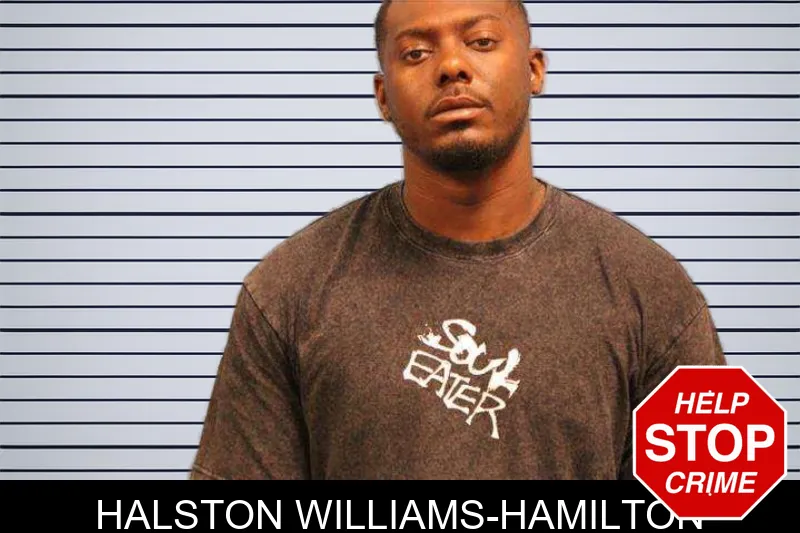 Halston Williams-Hamilton mugshot – Monroe County , Georgia Halston Williams-Hamilton mugshot