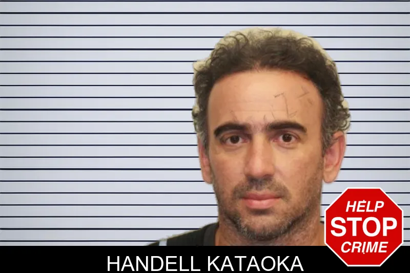 Handell Kataoka mugshot – Chatham County , Georgia Handell Kataoka mugshot