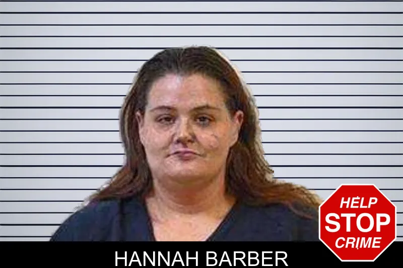 Hannah Barber mugshot