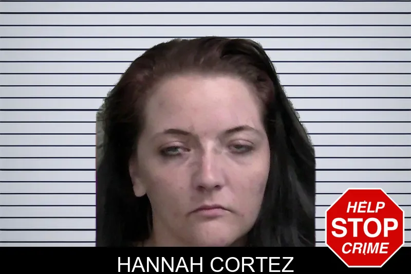 Hannah Cortez mugshot – Wayne County , Georgia Hannah Cortez mugshot