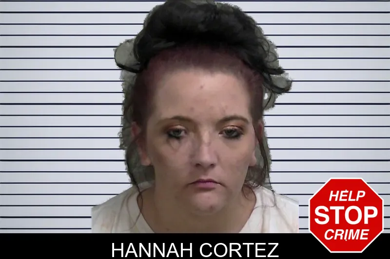 Hannah Cortez mugshot – Wayne County , Georgia Hannah Cortez mugshot