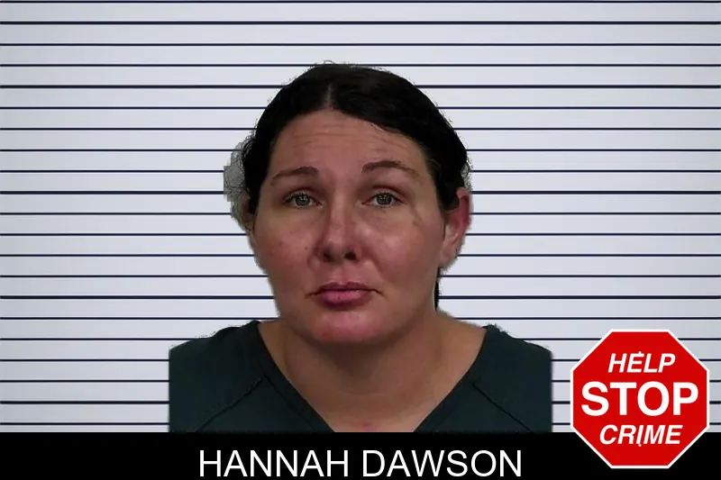 Hannah Dawson mugshot – Jeff Davis County , Georgia Hannah Dawson mugshot