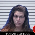Hannah Eldridge mugshot – Troup County , Georgia Hannah Eldridge mugshot