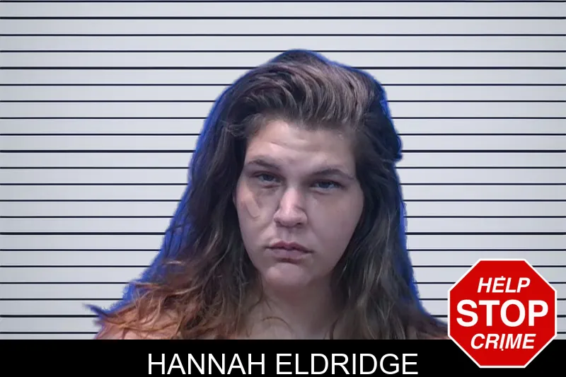 Hannah Eldridge mugshot – Troup County , Georgia Hannah Eldridge mugshot
