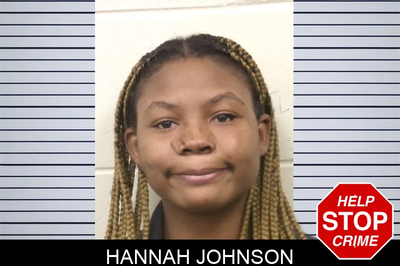 Hannah Johnson mugshot – Bulloch County , Georgia Hannah Johnson mugshot