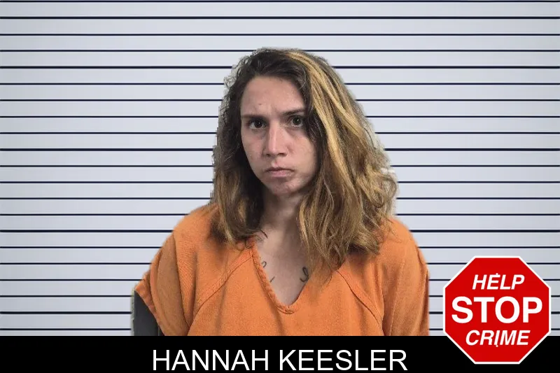 Hannah Keesler mugshot – Dade County , Georgia Hannah Keesler mugshot