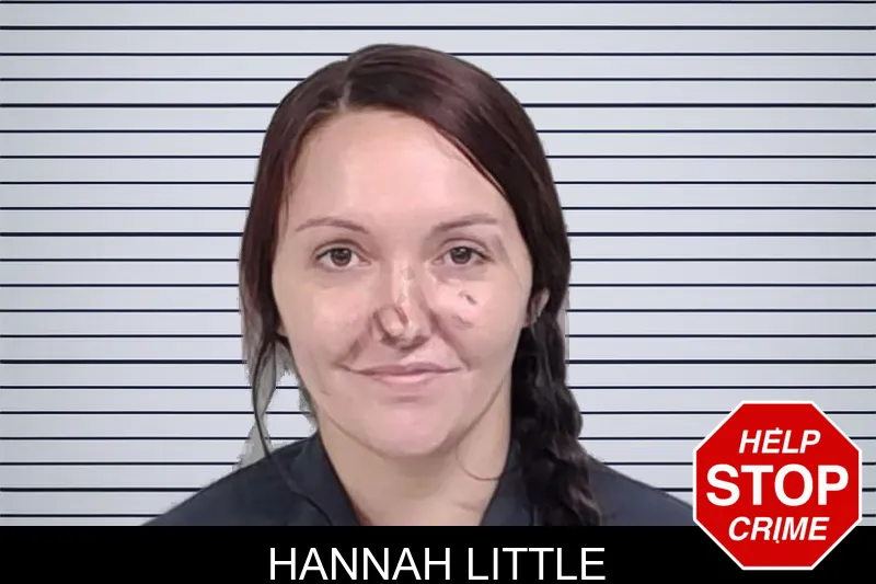 Hannah Little mugshot – Lowndes County , Georgia Hannah Little mugshot