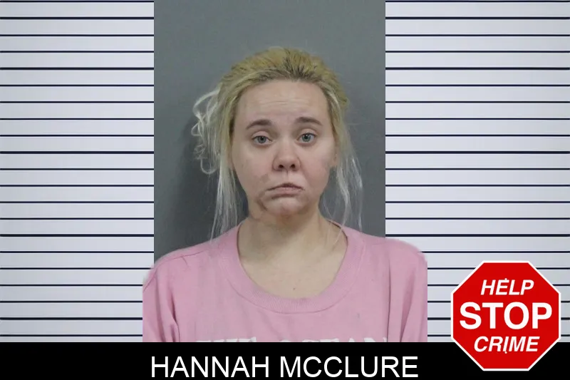 Hannah McClure mugshot – Catoosa County , Georgia Hannah McClure mugshot