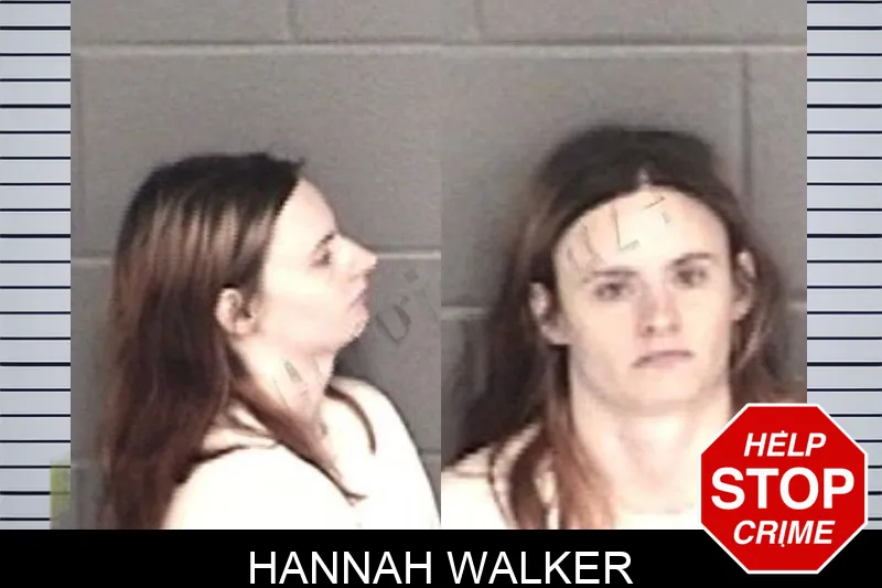 Hannah Walker mugshot – Barrow County , Georgia Hannah Walker mugshot