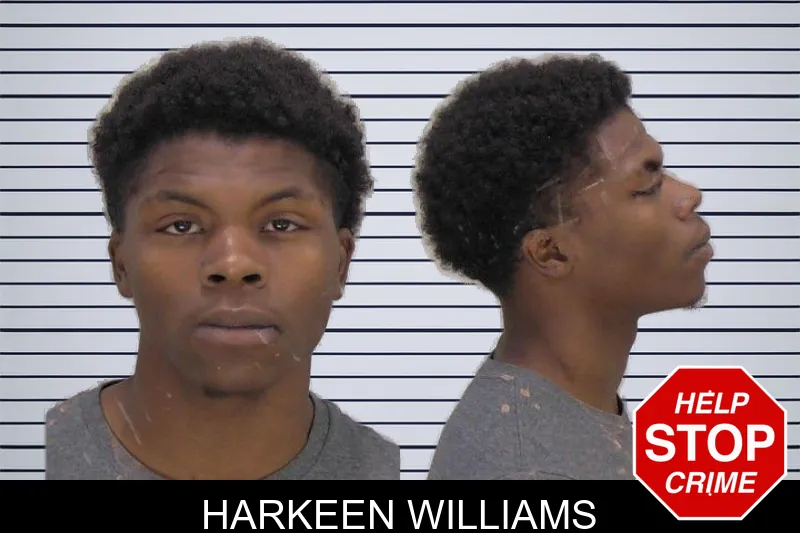 Harkeen Williams mugshot