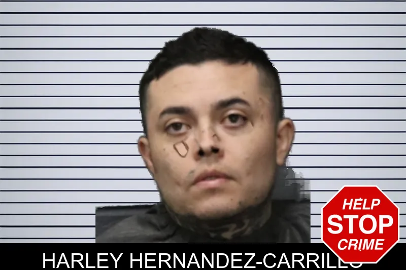 Harley Hernandez-Carrillo mugshot