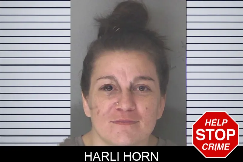Harli Horn mugshot – Douglas County , Georgia Harli Horn mugshot