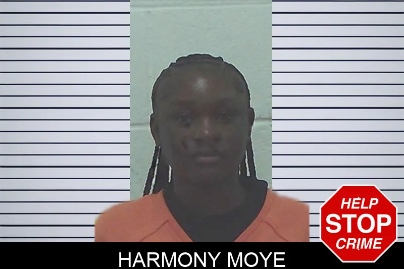Harmony Moye mugshot – Worth County , Georgia Harmony Moye mugshot