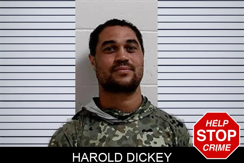 Harold Dickey mugshot