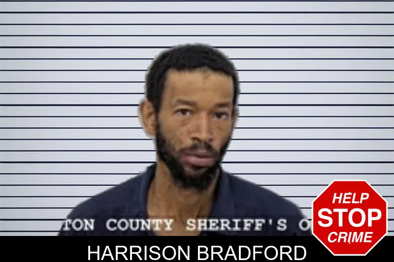 Harrison Bradford mugshot