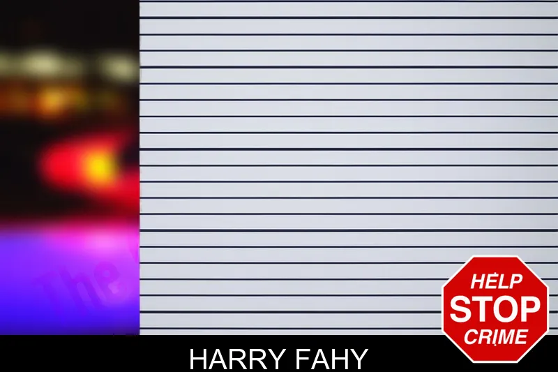 Harry Fahy mugshot