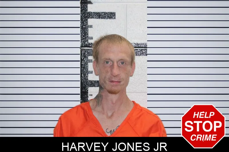 Harvey Jones Jr mugshot