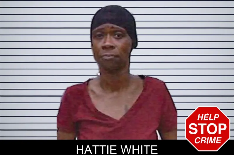 Hattie White mugshot – Screven County , Georgia Hattie White mugshot
