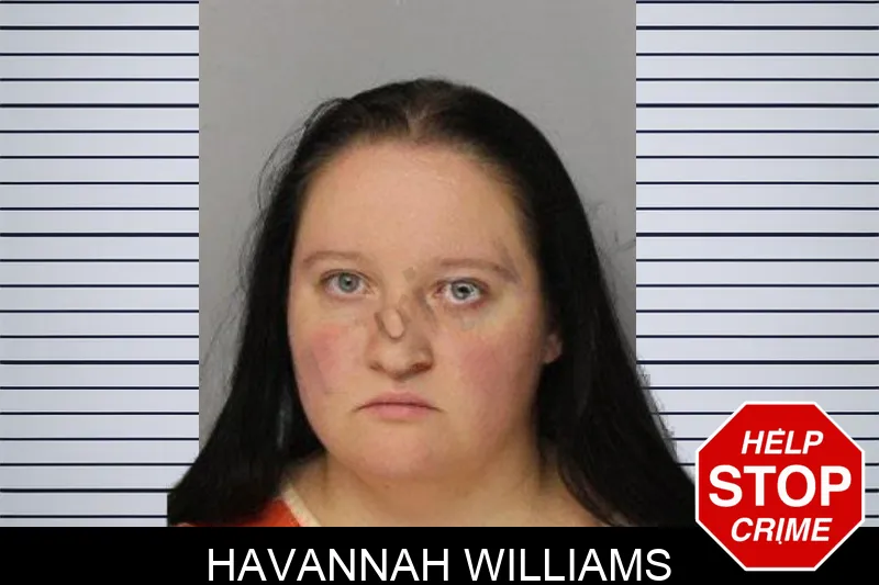 Havannah Williams mugshot