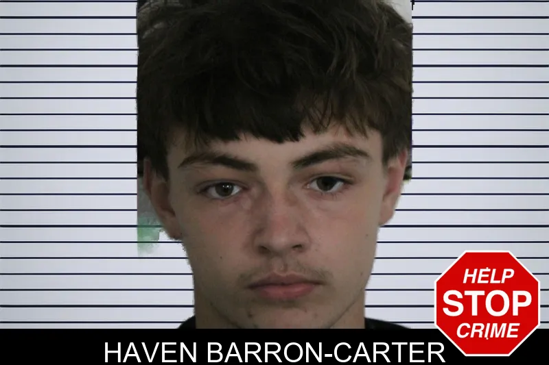 Haven Barron-Carter mugshot – Floyd County , Georgia Haven Barron-Carter mugshot