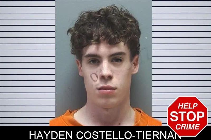 Hayden Costello-Tiernan mugshot – Cherokee County , Georgia Hayden Costello-Tiernan mugshot
