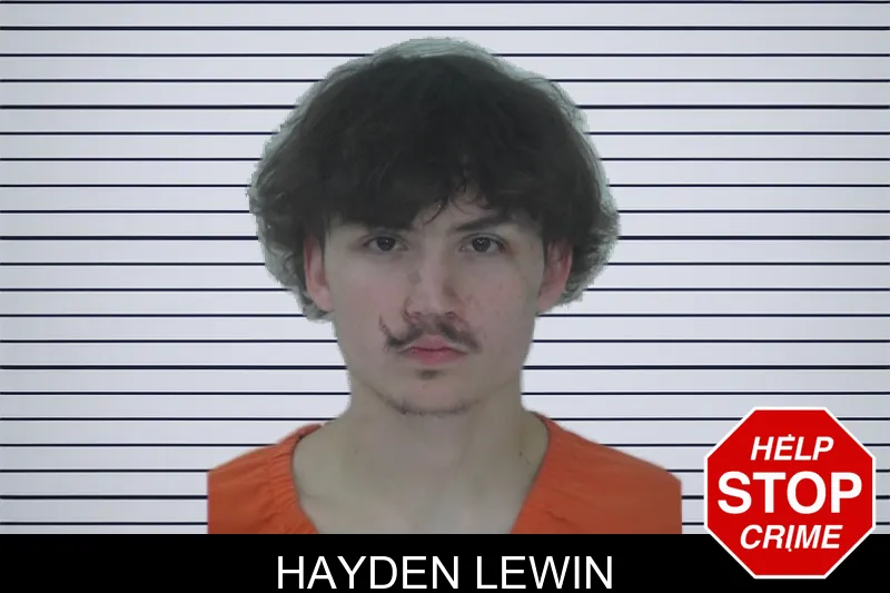 Hayden Lewin mugshot