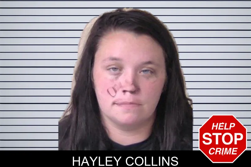 Hayley Collins mugshot – Walker County , Georgia Hayley Collins mugshot