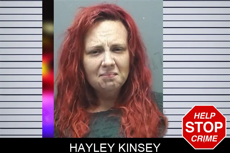 Hayley Kinsey mugshot – Cherokee County , Georgia Hayley Kinsey mugshot