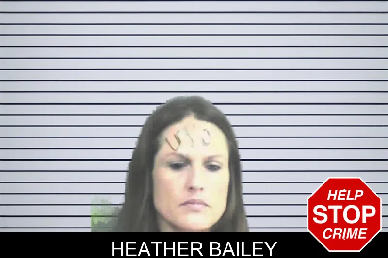 Heather Bailey mugshot
