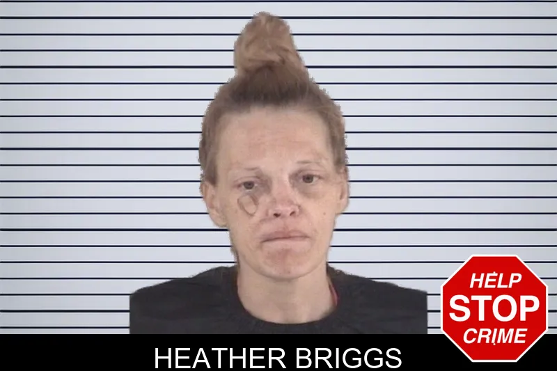 Heather Briggs mugshot – Spalding County , Georgia Heather Briggs mugshot