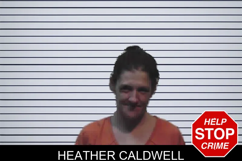 Heather Caldwell mugshot – Meriwether County , Georgia Heather Caldwell mugshot