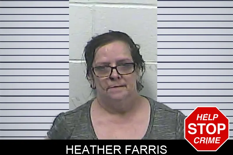 Heather Farris mugshot – Dawson County , Georgia Heather Farris mugshot