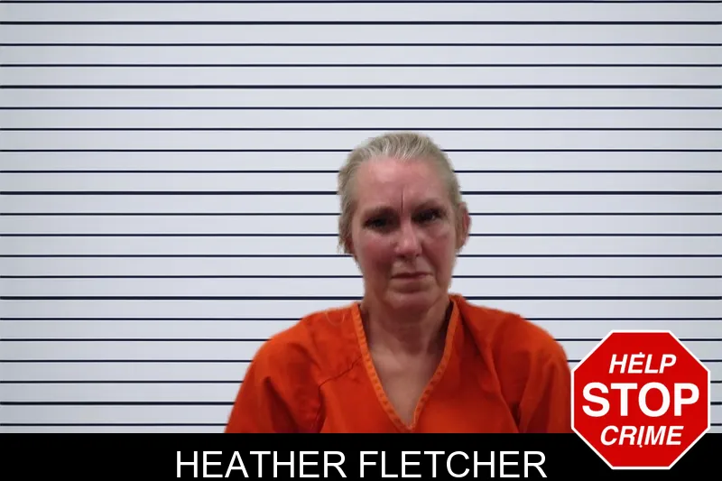 Heather Fletcher mugshot – Pickens County , Georgia Heather Fletcher mugshot