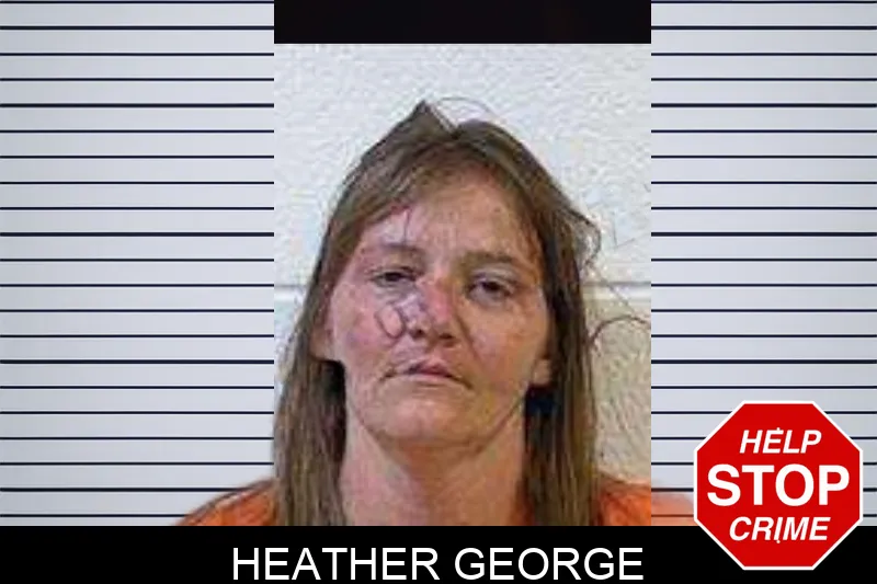 Heather George mugshot