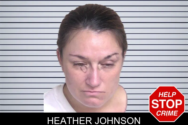 Heather Johnson mugshot – Walker County , Georgia Heather Johnson mugshot